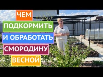 СДЕЛАЙТЕ ЭТО СО СМОРОДИНОЙ ВЕСНОЙ!