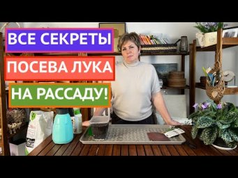 100% ГАРАНТИЯ ВСХОДОВ! ПРИШЛО ВРЕМЯ ПОСЕЯТЬ ЛУК!