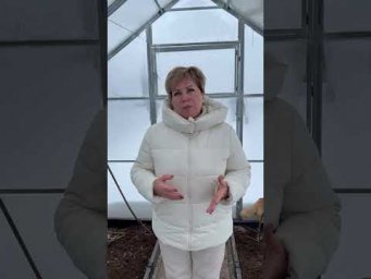 СТОИТ ЛИ НАКИДЫВАТЬ СНЕГ В ТЕПЛИЦУ?