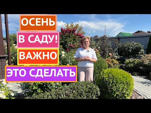 ВАЖНЫЕ САДОВЫЕ ДЕЛА СЕНТЯБРЯ!