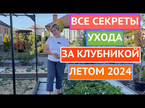 КАК УДВОИТЬ УРОЖАЙ КЛУБНИКИ (САДОВОЙ ЗЕМЛЯНИКИ)!