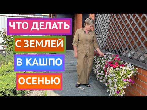 ЗЕМЛЯ В КАШПО ПОСЛЕ СЕЗОНА: ВЫКИДЫВАТЬ ИЛИ ОСТАВИТЬ?