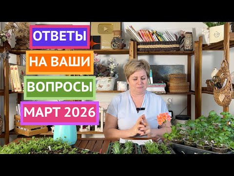 Отвечаю на самые популярные вопросы по садоводству в марте!