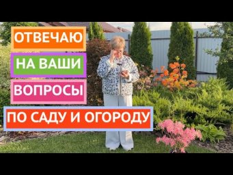 Самый долгожданный ролик месяца!