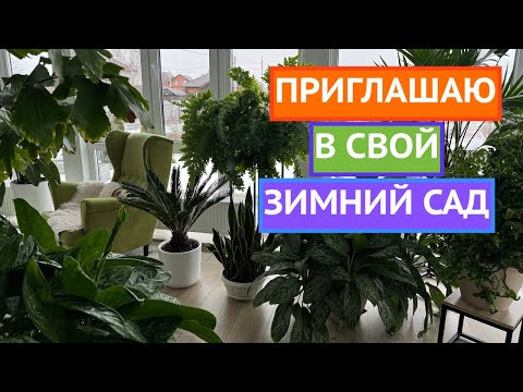 ПОКАЗЫВАЮ ВСЕ СВОИ КОМНАТНЫЕ РАСТЕНИЯ!