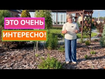 ОРГАНИК МИКС ОТКРЫВАЮТ СЕКРЕТЫ ПРОИЗВОДСТВА И ДЕЛЯТСЯ ЛАЙФХАКАМИ!