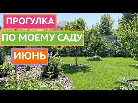 ВОТ ЭТО ЦВЕТЕНИЕ! ПОКАЗЫВАЮ СВОИ РАСТЕНИЯ ВО ВСЕЙ КРАСЕ!