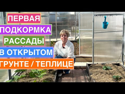 Чем подкормить растения после высадки в открытый грунт/ теплицу? Чем подкормить растения после высадки в открытый грунт/ теплицу?