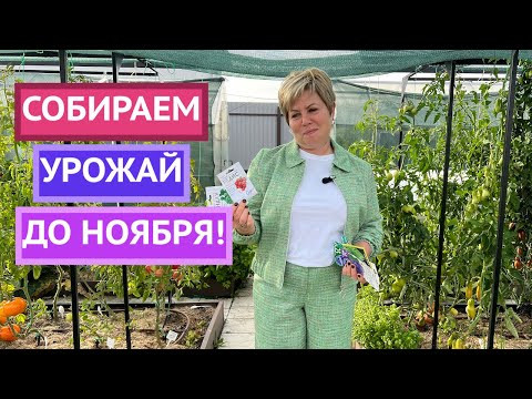 ЕЩЕ МОЖНО! ЧТО ПОСЕЯТЬ В ОТКРЫТЫЙ ГРУНТ В АВГУСТЕ 2024 ЕЩЕ МОЖНО! ЧТО ПОСЕЯТЬ В ОТКРЫТЫЙ ГРУНТ В АВГУСТЕ 2024