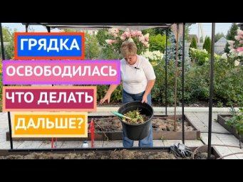 Готовим грядку к следующему сезону!