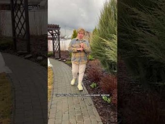 Чем подкормить тюльпаны в апреле?
