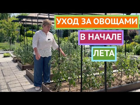 Важные подсказки для хорошего урожая!