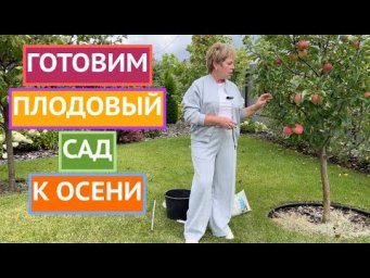 ВАЖНЫЕ ЭТАПЫ ПОДГОТОВКИ ПЛОДОВОГО САДА К ЗИМЕ!