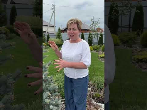 НЕОБЫЧНОЕ РЕШЕНИЕ ДЛЯ ДЕКОРА САДА