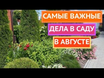 Основные дела в саду и огороде в августе!