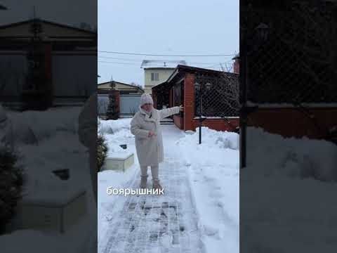 ИДЕЯ ДЛЯ ВАШЕГО САДА! ЭТИ ДЕРЕВЬЯ КРАСИВЫЕ ДАЖЕ ЗИМОЙ! ИДЕЯ ДЛЯ ВАШЕГО САДА! ЭТИ ДЕРЕВЬЯ КРАСИВЫЕ ДАЖЕ ЗИМОЙ!