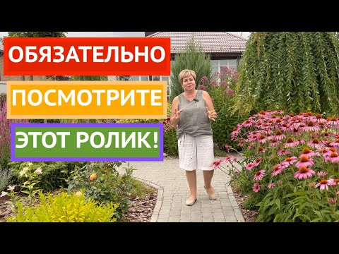 ГДЕ МЕНЯ ИСКАТЬ ЕСЛИ НЕ БУДЕТ ЮТУБА!