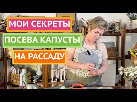 Посейте капусту этим способом и получите роскошный урожай! Посейте капусту этим способом и получите роскошный урожай!