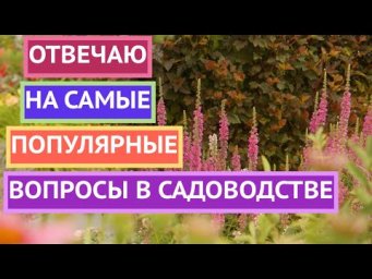 ОТВЕЧАЮ НА ВАШИ ВОПРОСЫ! ДЕКАБРЬ 2025!
