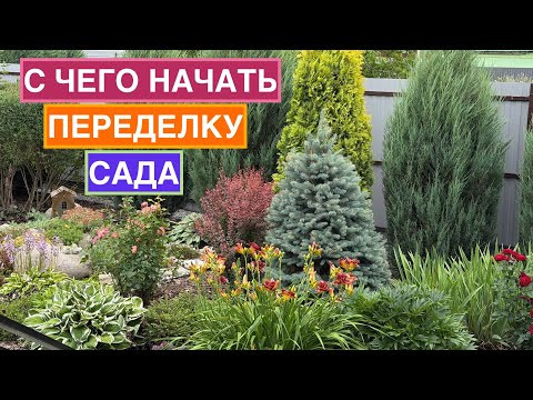Сад достался готовым: что делать ?