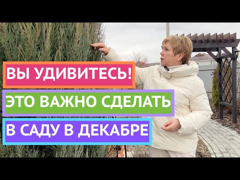 САД В ДЕКАБРЕ! УСПЕЙТЕ ЭТО СДЕЛАТЬ!
