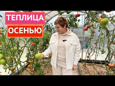 КОНЕЦ СЕЗОНА! ЗАКРЫВАЕМ ТЕПЛИЦЫ НА ЗИМУ ПРАВИЛЬНО!