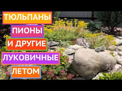 УХОД ЗА РАСТЕНИЯМИ, ЦВЕТУЩИМИ В ПЕРВОЙ ПОЛОВИНЕ ЛЕТА! УХОД ЗА РАСТЕНИЯМИ, ЦВЕТУЩИМИ В ПЕРВОЙ ПОЛОВИНЕ ЛЕТА!