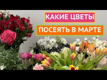 КАКИЕ ЦВЕТЫ ПОСЕЯТЬ В МАРТЕ!