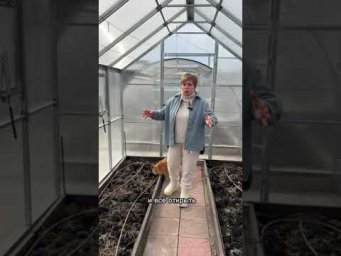 ПОЧЕМУ ПОЧВА В ТЕПЛИЦЕ ПОЗЕЛЕНЕЛА И ЧТО С ЭТИМ ДЕЛАТЬ!