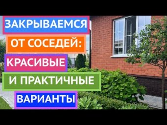 Что делать, если соседские окна смотрят прямо на участок?