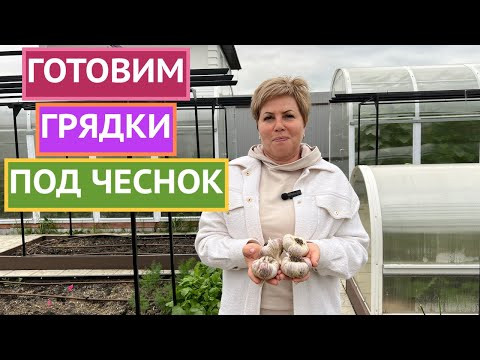 СДЕЛАЙТЕ ЭТО СЕЙЧАС С ГРЯДКАМИ ПОД ЧЕСНОК!