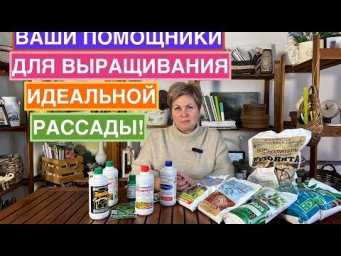 Как вырастить идеальную рассаду по схеме БашИнком!