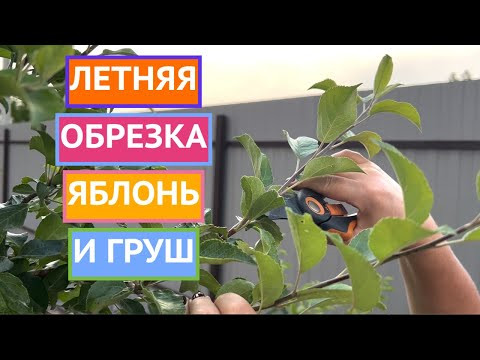 САМЫЙ ДОЛГОЖДАННЫЙ РОЛИК ЛЕТА 2024!