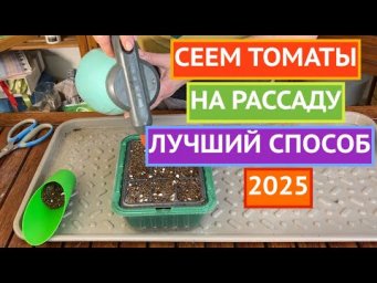 ПРИШЛО ВРЕМЯ СЕЯТЬ ТОМАТЫ!