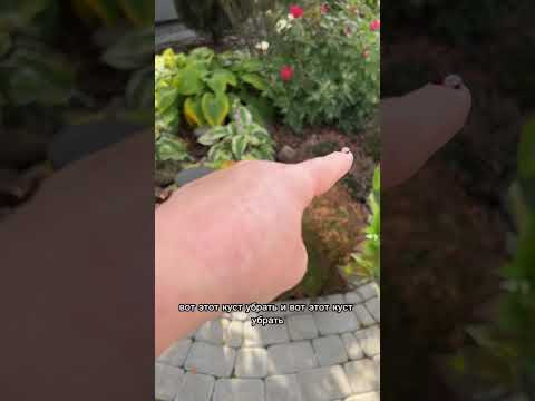 Нужен ваш совет!