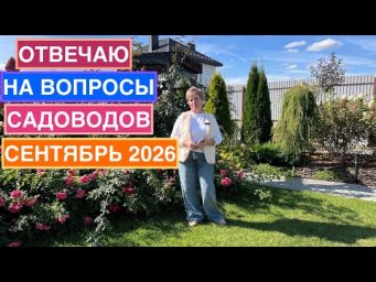 Отвечаю на ваши вопросы в сентябре!