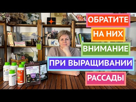 Как вырастить здоровый и полезный урожай с биопрепаратами Экодачник! Как вырастить здоровый и полезный урожай с биопрепаратами Экодачник!