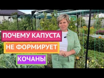 ЧТО НЕ ТАК С КАПУСТОЙ! ПОЛУЧАЕМ ОГРОМНЫЙ УРОЖАЙ В СЖАТЫЕ СРОКИ!