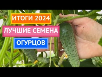 ЭТИ ОГУРЦЫ ТОЧНО НЕ ПОДВЕДУТ! Сажаем смело