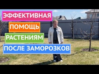 ПОМОГИТЕ РАСТЕНИЯМ ВОССТАНОВИТЬСЯ ПОСЛЕ СТРЕССА!