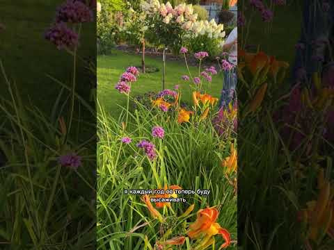 Лучшее растение из семян! Моя большая любовь