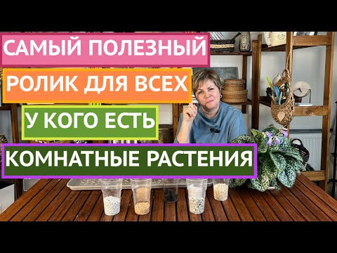 СОСТАВЛЯЕМ ПОЧВОСМЕСЬ ДЛЯ ДОМАШНИХ ЦВЕТОВ!