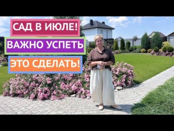 Важные садовые дела в июле!