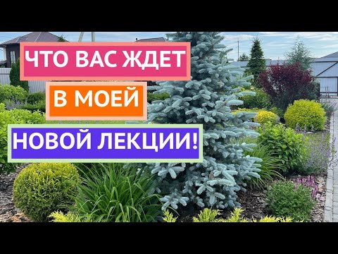 Показываю свой сад спустя годы