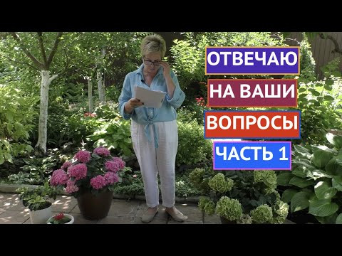 ВНИМАНИЕ! ОТВЕЧАЮ ЗДЕСЬ НА ВОПРОСЫ В КОММЕНТАРИЯХ !