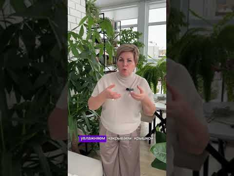КАК УСКОРИТЬ ПРОРАСТАНИЕ СЕМЯН!