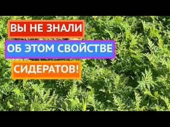 САДОВОДУ БЕЗ НИХ НЕ ОБОЙТИСЬ!