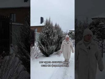 ВАЖНО! СДЕЛАЙТЕ ЭТО ВО ВРЕМЯ СНЕГОПАДОВ!