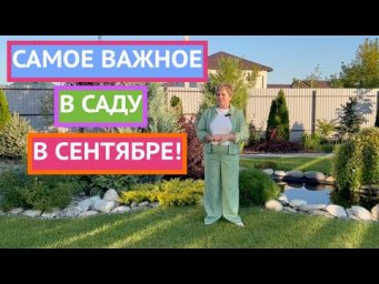 ОБЯЗАТЕЛЬНО СДЕЛАЙТЕ ЭТО В САДУ В СЕНТЯБРЕ 2024!