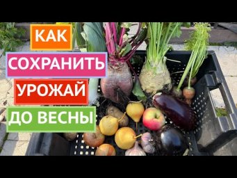 СОХРАНИТЬ УРОЖАЙ НА ДОЛГИЙ СРОК ПРОСТО!